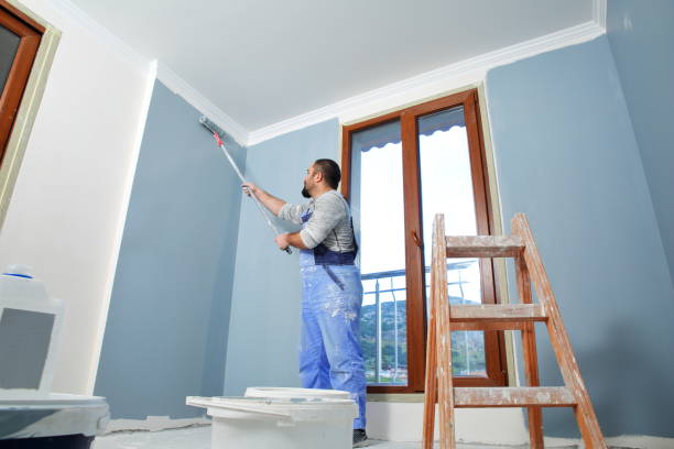 Little River, SC Mold Removal Company