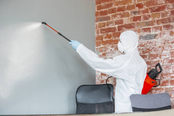 Best Mold-Related Health Consultation  in Little River, SC