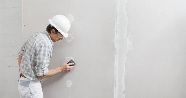 Best Post-Construction Mold Inspection  in Little River, SC