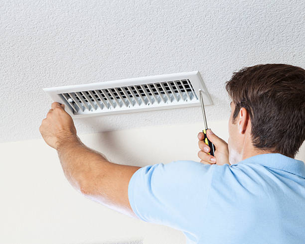 Best Mold Odor Removal Services  in Little River, SC