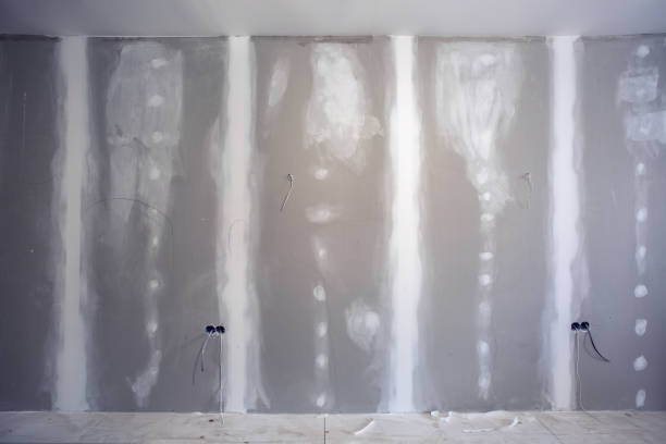 Best Emergency Mold Remediation  in Little River, SC